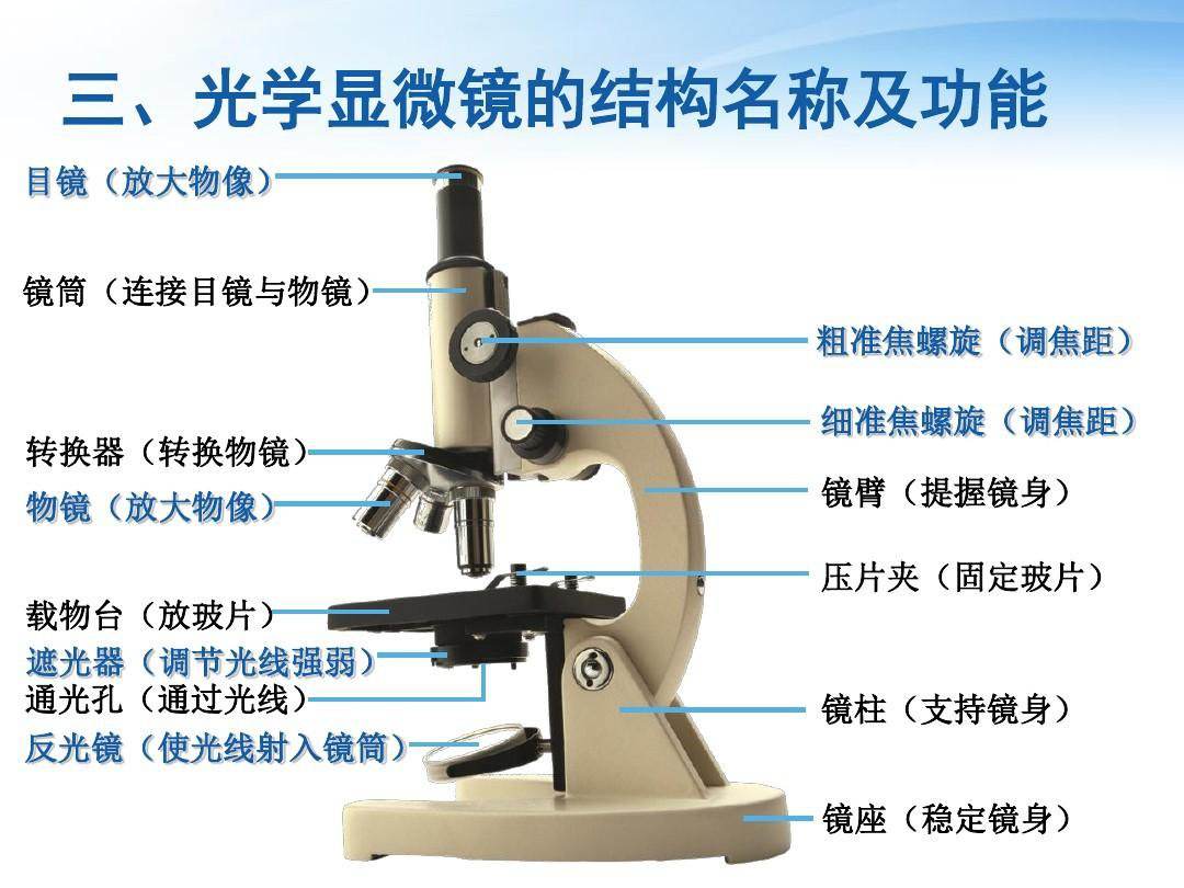 教师资格证生物常考知识点：显微镜