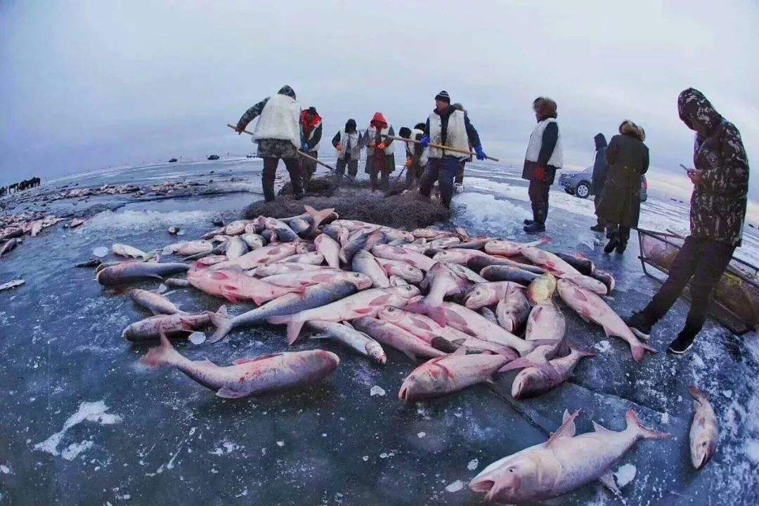 纽芬兰渔场图片图片